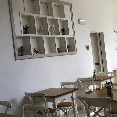 Hotel City Hotel Viareggio