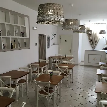 City Hotel Hotel