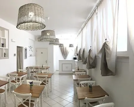 City Hotel Hotel 3*
